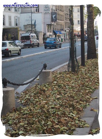 L'automne en été