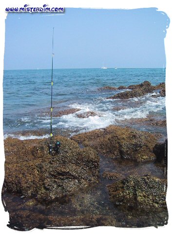 En attendant le poisson au Cap d'Antibes