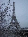 IMG_4787.jpg