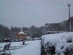 IMG_4789.jpg