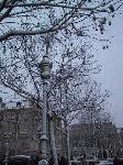 IMG_4794.jpg
