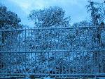 IMG_4799.jpg